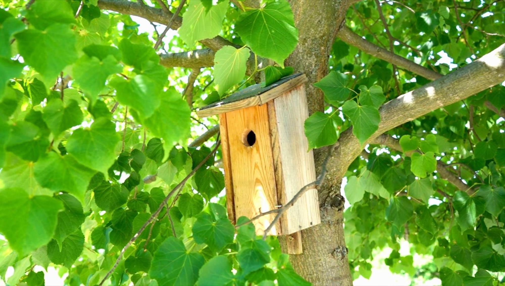 Voelgyhid Village Balaton Koroshegy Ngoại thất bức ảnh