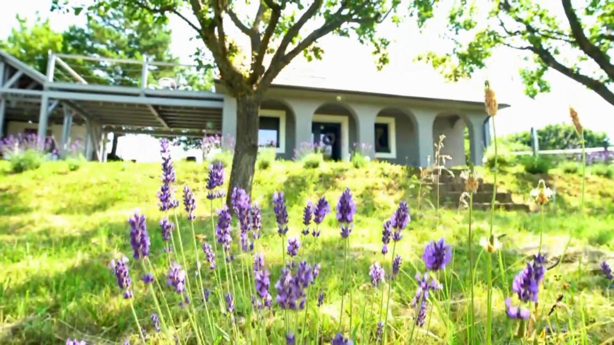 Voelgyhid Village Balaton Koroshegy Ngoại thất bức ảnh